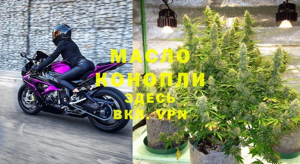 крисы Мегион