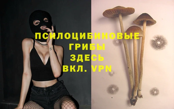 ALPHA PVP Медвежьегорск