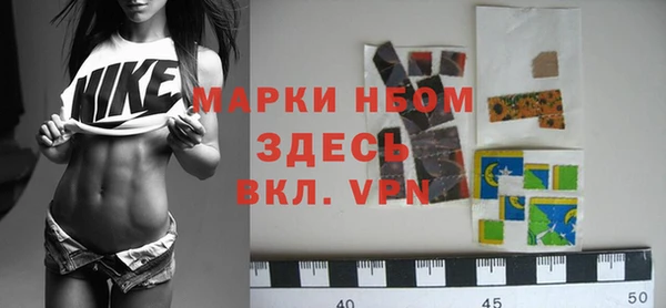 крисы Мегион