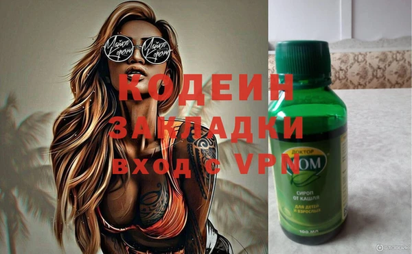 крисы Мегион