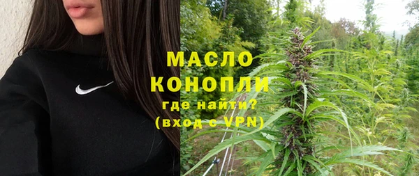 крисы Мегион