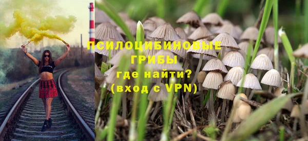 дживик Долгопрудный