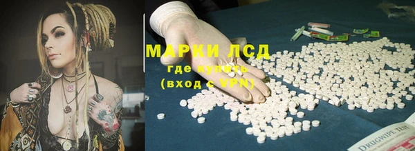 крисы Мегион